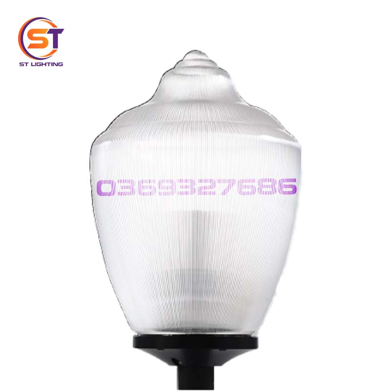 st sv bong zelda trong